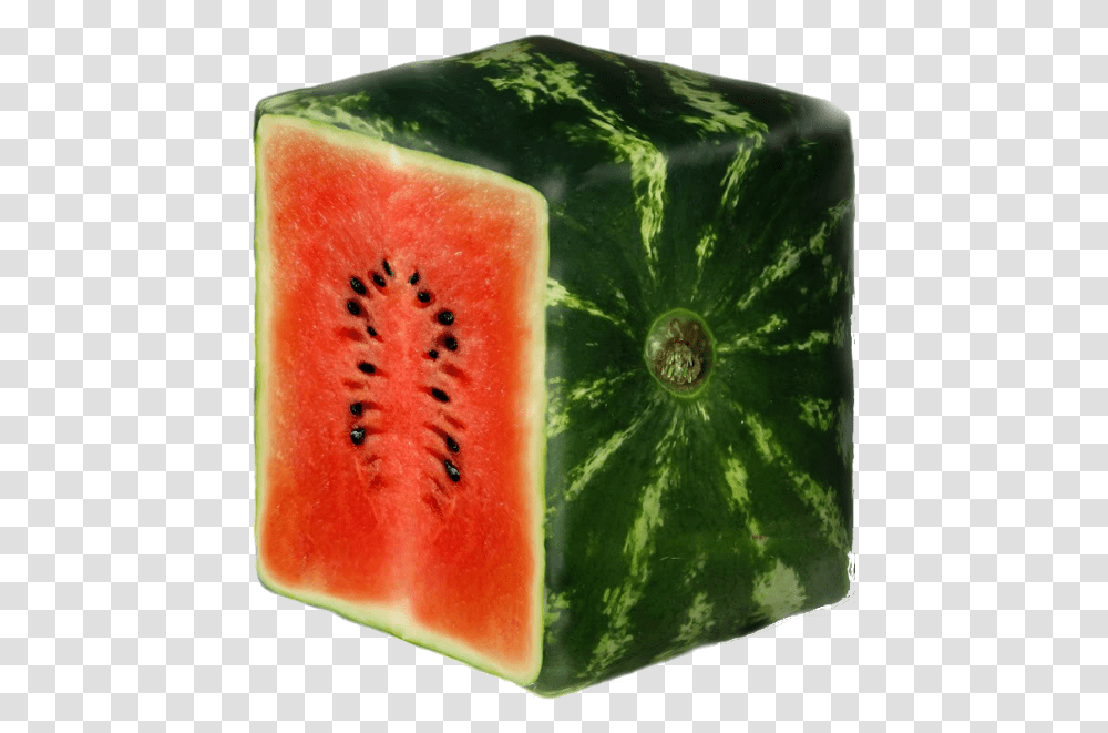 Square Watermelons, Plant, Fruit, Food Transparent Png