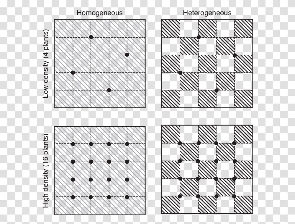 Squares Design, Pattern, Label, Word Transparent Png