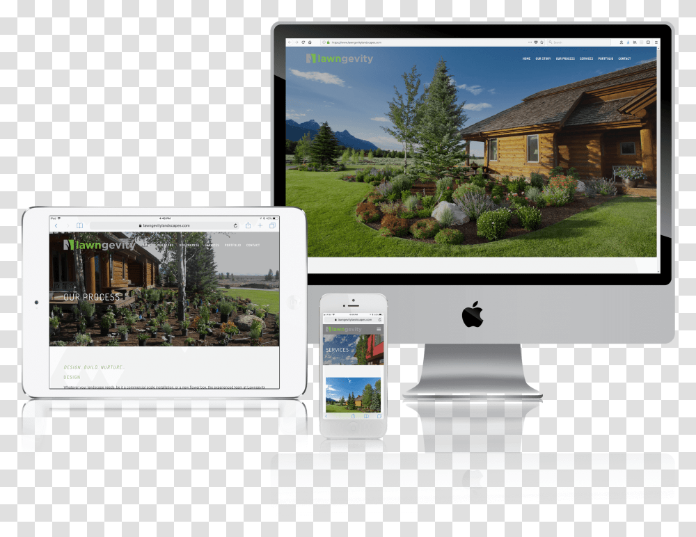 Squarespace For Professional Landscape Websites, Tree, Plant, Monitor, Screen Transparent Png