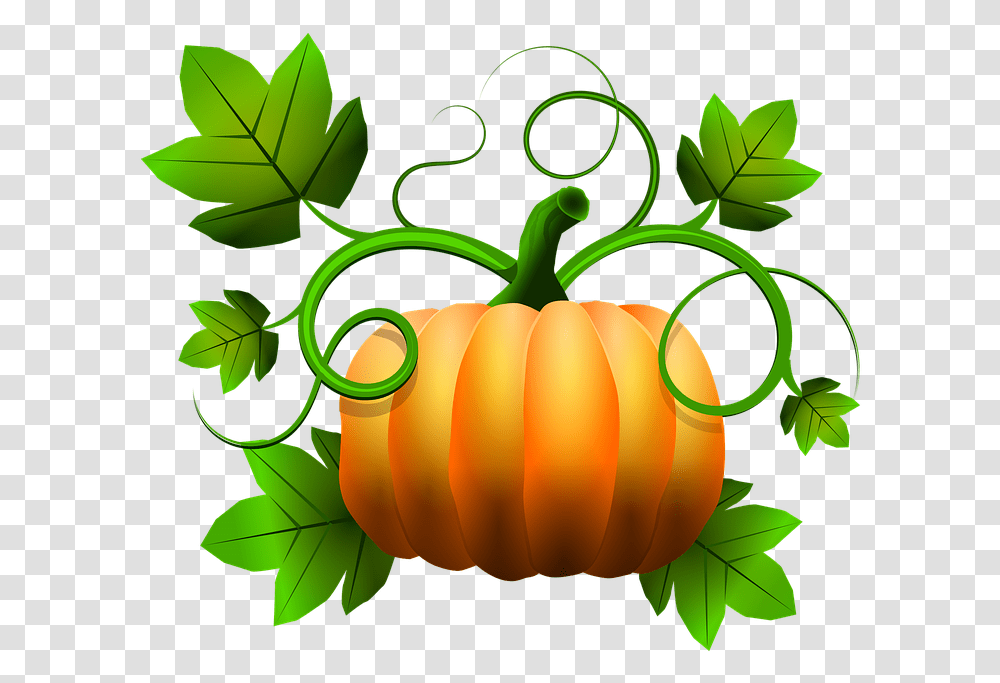 Squash Pumpkins Cartoon, Vegetable, Plant, Food, Leaf Transparent Png