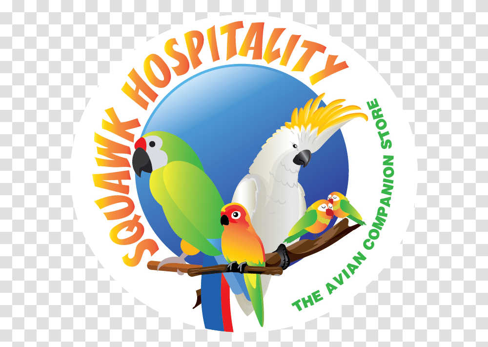 Squawk Hospitality Never Mind The Dog Beware, Bird, Animal, Parrot, Cockatoo Transparent Png