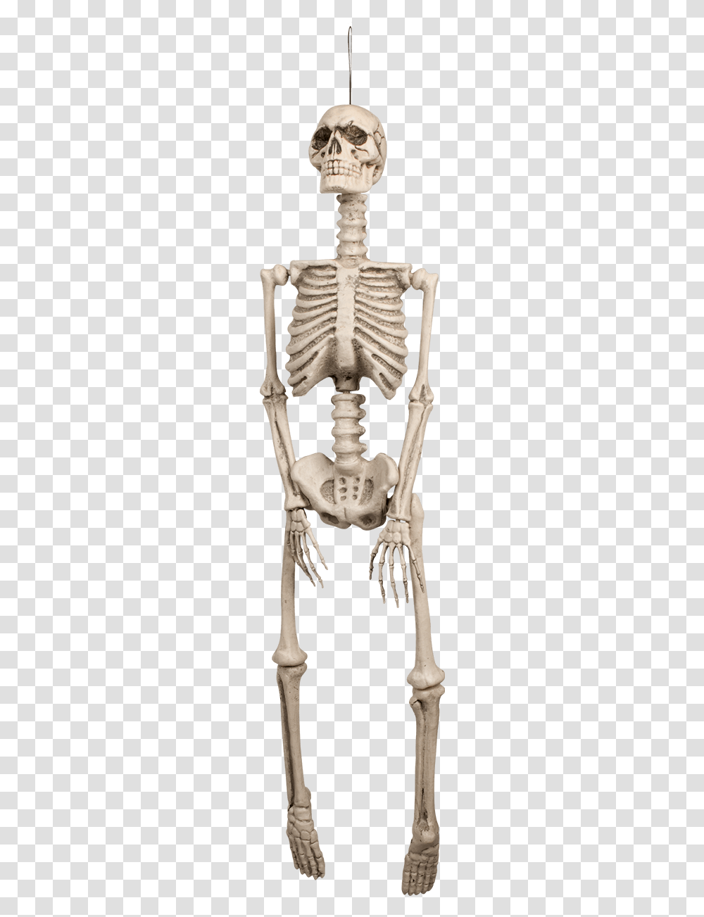 Squelette Decoration Halloween, Skeleton, Person, Human Transparent Png