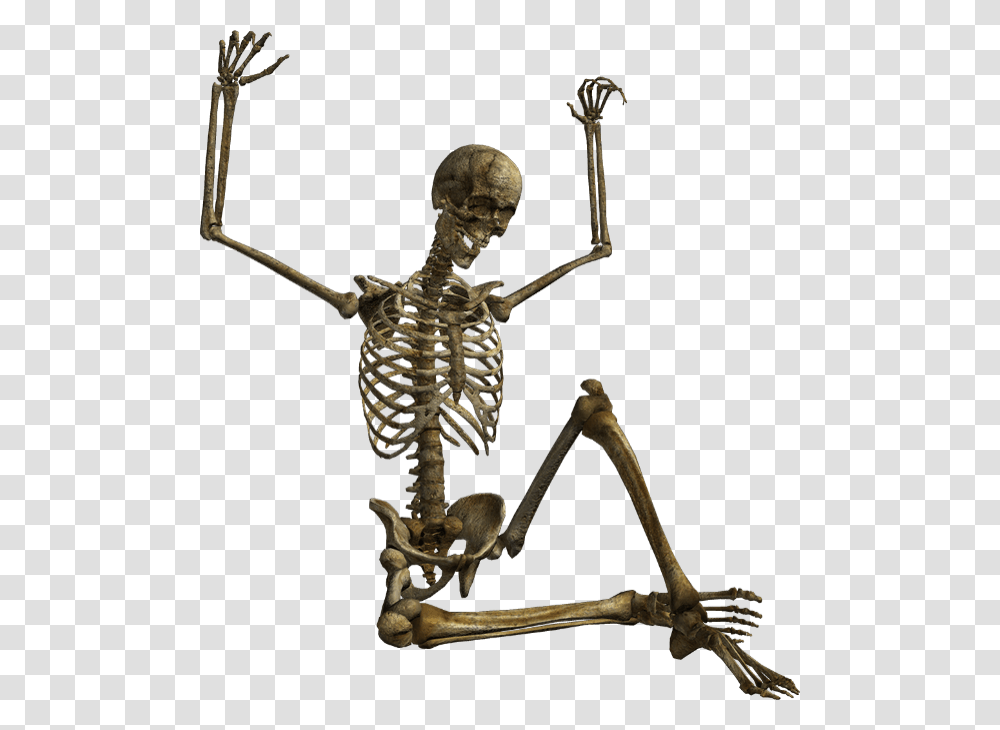 Squelette Tube Halloween Squelette Halloween Sur Fond, Skeleton, Cross Transparent Png