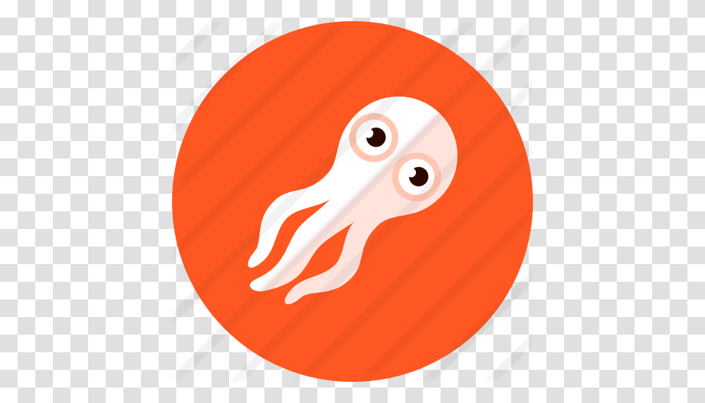 Squid, Animal, Bird, Sea Life, Invertebrate Transparent Png