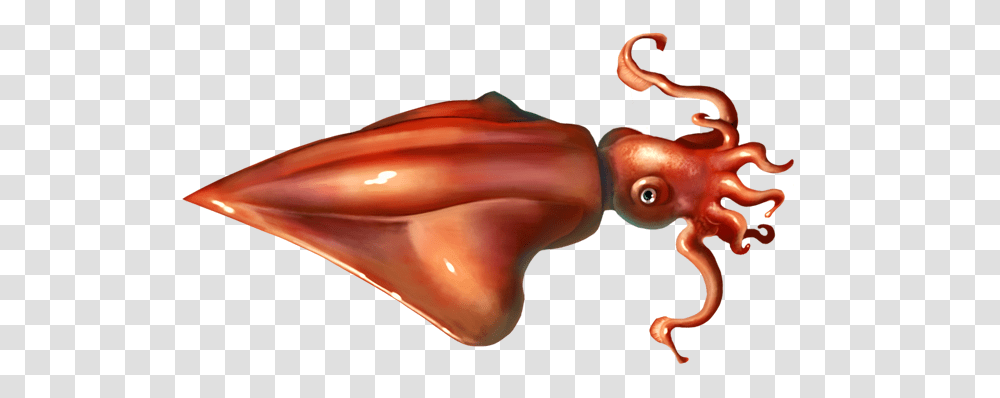 Squid, Animals, Face, Ear Transparent Png