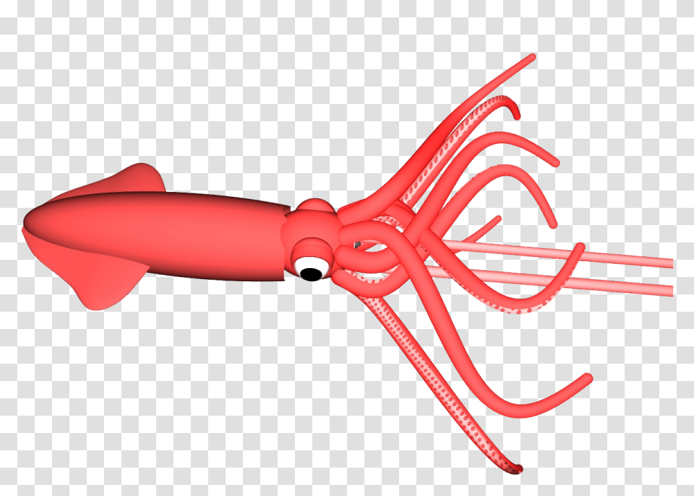 Squid, Animals, Scissors, Blade, Weapon Transparent Png