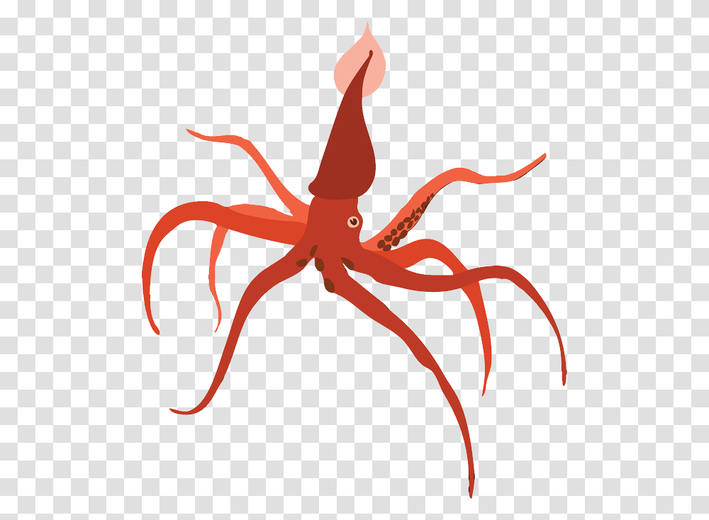 Squid, Animals, Sea Life, Antelope, Wildlife Transparent Png