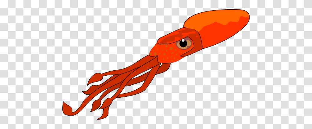 Squid Clip Art Free, Seafood, Sea Life, Animal Transparent Png