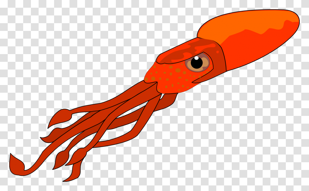 Squid Clip Art Free, Seafood, Sea Life, Animal Transparent Png