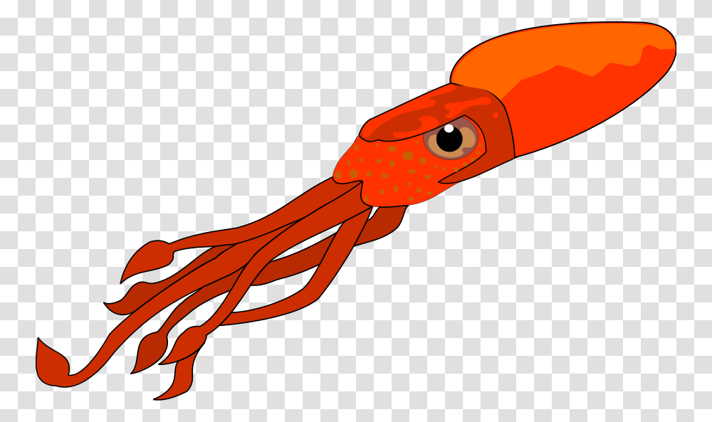 Squid Clip Art, Seafood, Sea Life, Animal Transparent Png