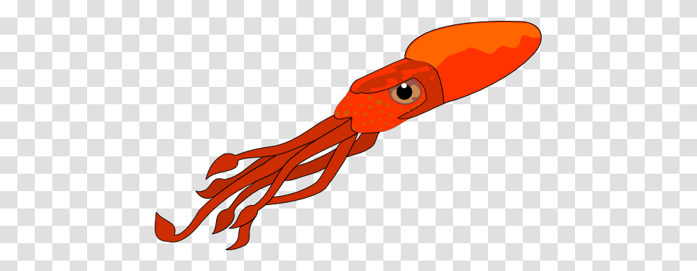 Squid Clip Art, Seafood, Sea Life, Animal Transparent Png