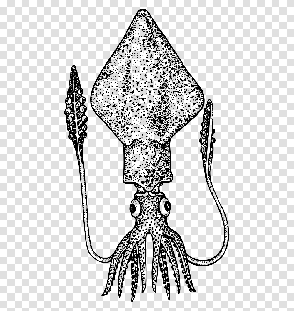 Squid Colossal Squid Clipart, Gray, World Of Warcraft Transparent Png