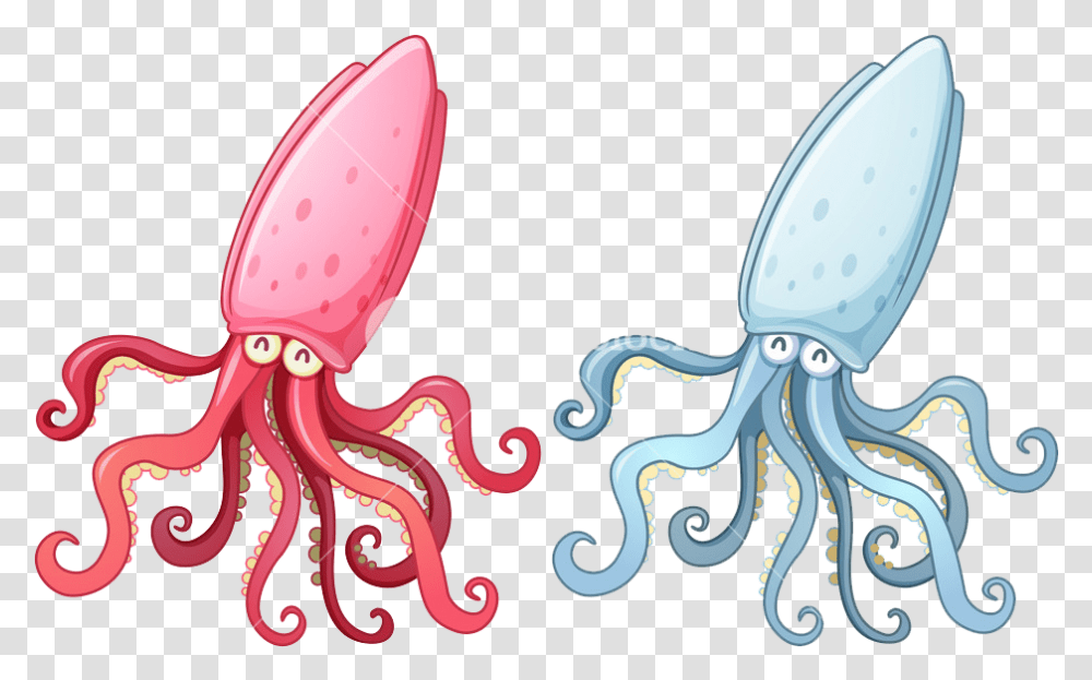 Squid Photo Background, Sea Life, Animal, Seafood, Octopus Transparent Png