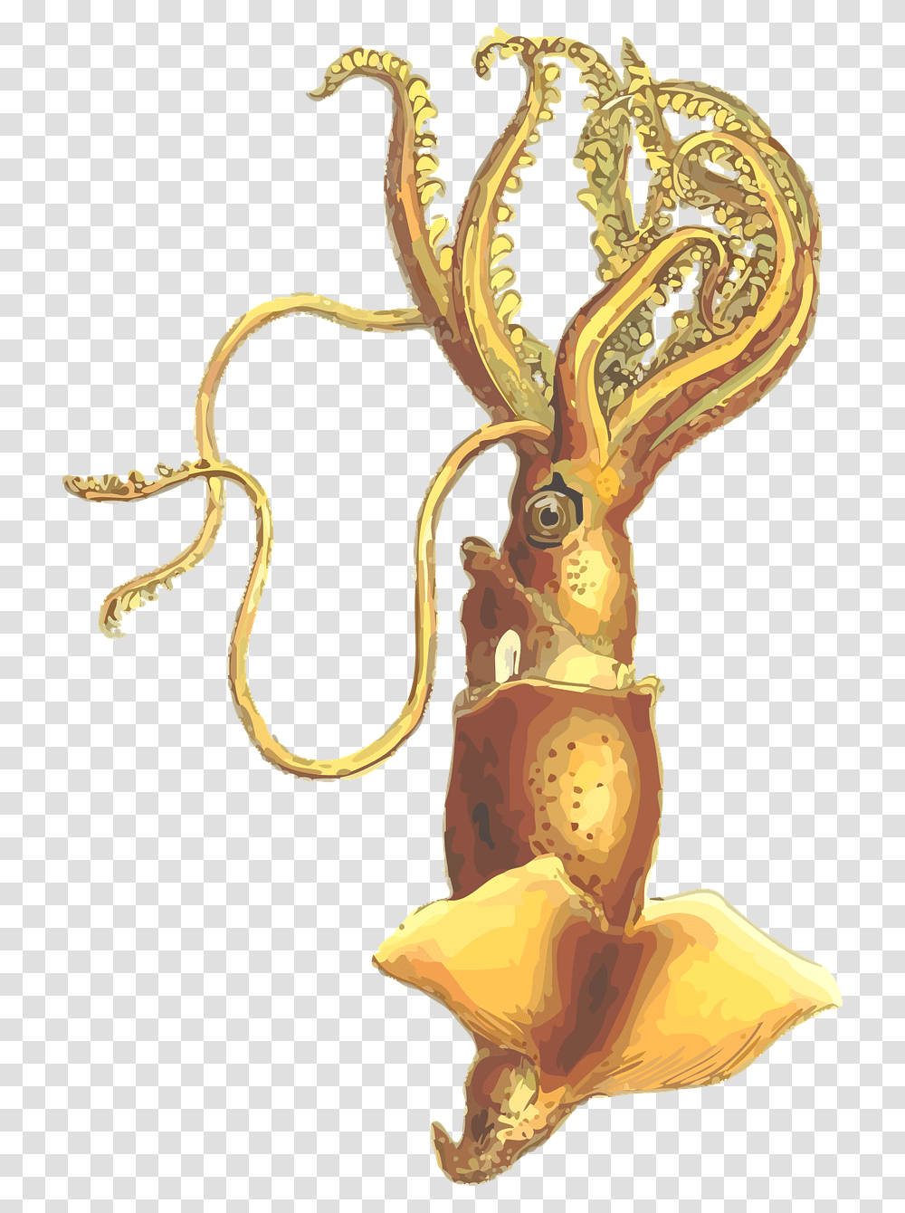 Squid Roznica Miedzy Kalamarnica A Osmiornica, Plant, Flower, Blossom, Tree Transparent Png