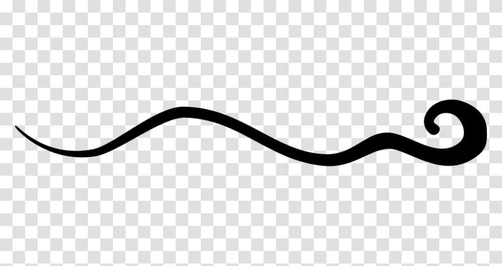 Squiggly Line Free Download Clip Art, Gray, World Of Warcraft Transparent Png