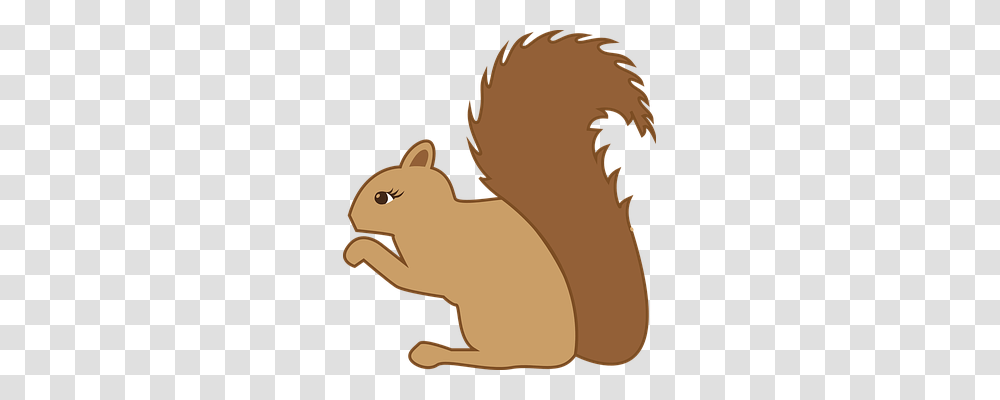 Squirrel Nature, Rodent, Mammal, Animal Transparent Png