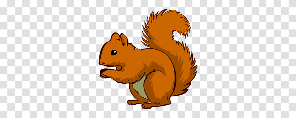 Squirrel Animals, Mammal, Rodent, Wildlife Transparent Png