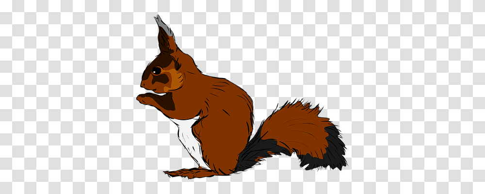 Squirrel Animals, Mammal, Wildlife, Person Transparent Png