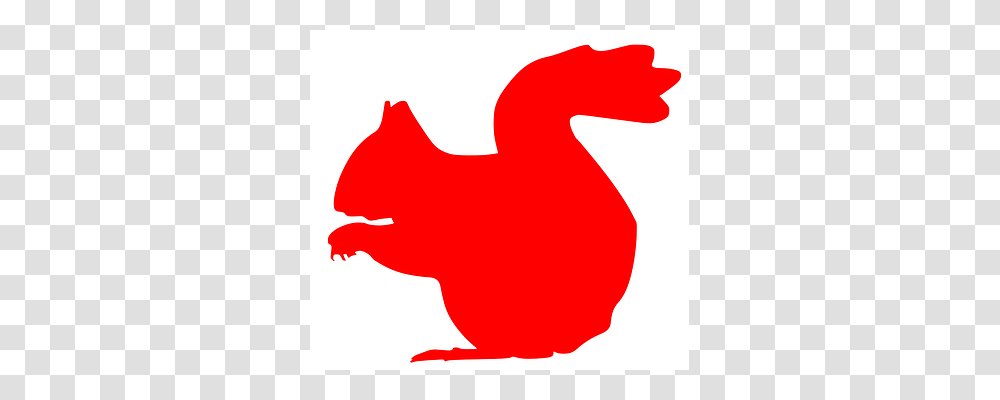 Squirrel Animal, Ketchup, Food, Bird Transparent Png