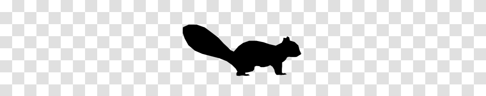 Squirrel Acorn Silhouette Transparent Png