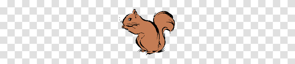 Squirrel, Animal, Rodent, Mammal, Poster Transparent Png