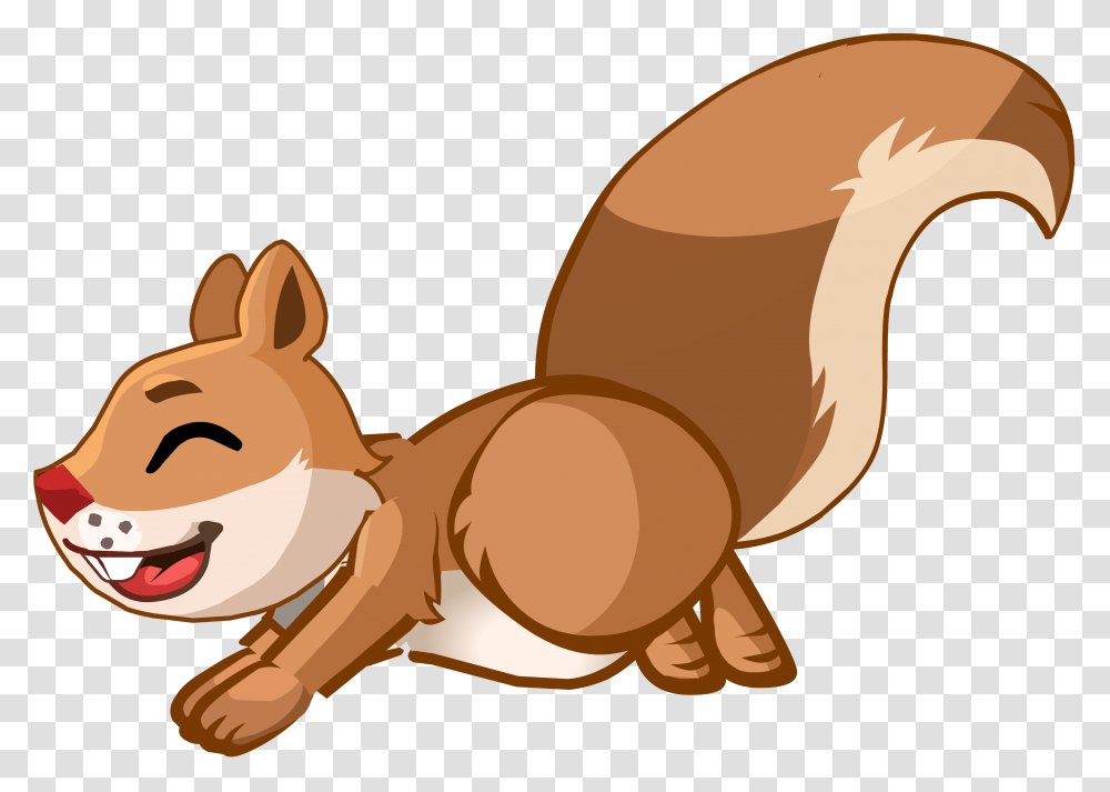 Squirrel, Animals, Mammal, Rodent, Plant Transparent Png