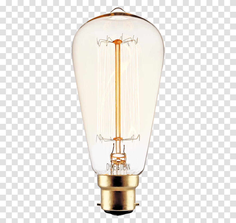 Squirrel Cage Edison Bayonet Filament Bulb 40w Incandescent Light Bulb, Lamp, Lampshade, Table Lamp, Lantern Transparent Png