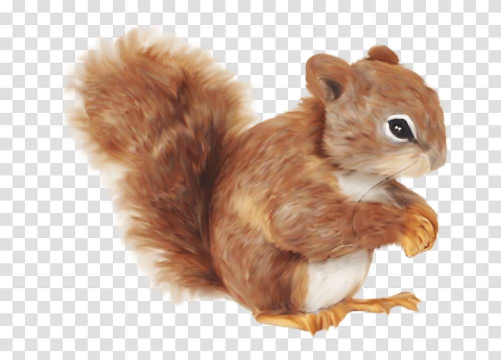 Squirrel Cartoon Clip Art Color Dibujos De Una Ardilla, Chicken, Animal, Mammal, Dog Transparent Png