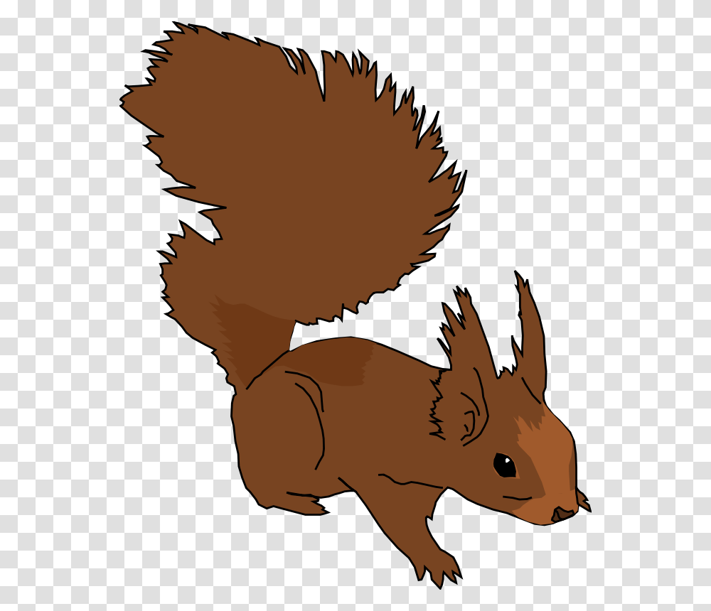 Squirrel Clip Art Royalty Free Animal Images Animal Clipart Org, Mammal, Person, Human, Rabbit Transparent Png
