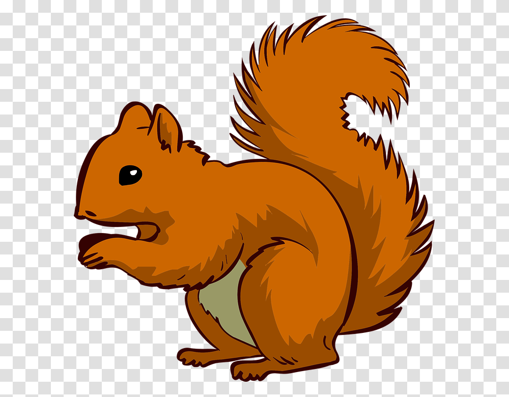 Squirrel Clipart, Animal, Mammal, Rodent, Wildlife Transparent Png