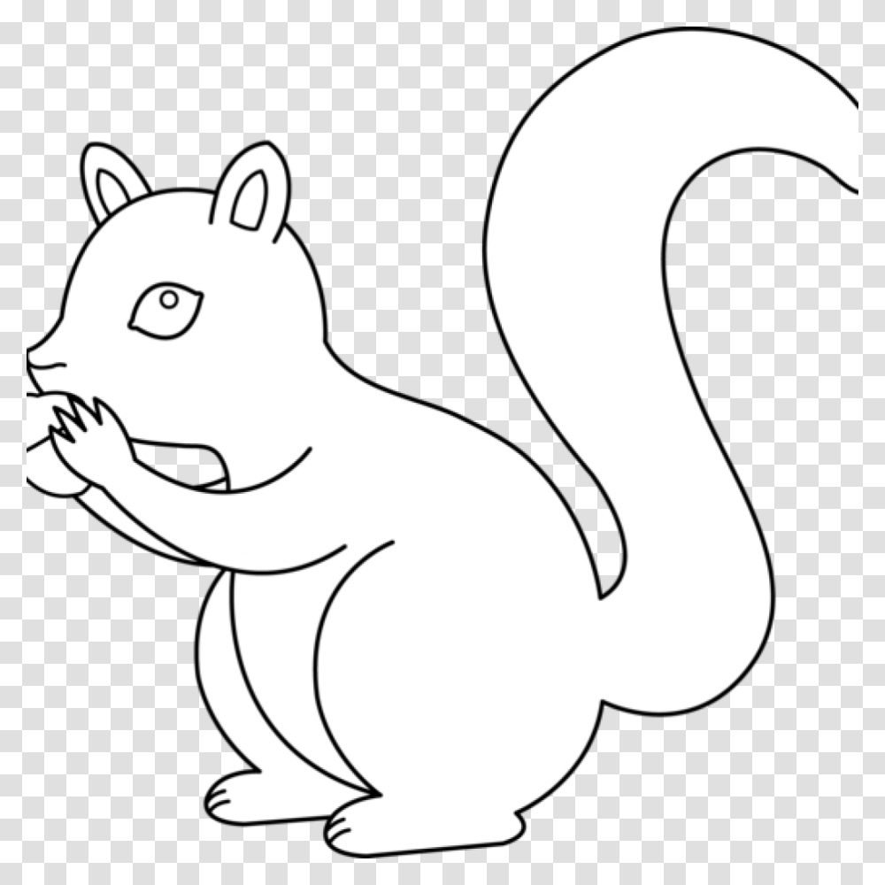 Squirrel Clipart Black And White Vector With Acorn Sitting, Animal, Mammal, Stencil, Dog Transparent Png