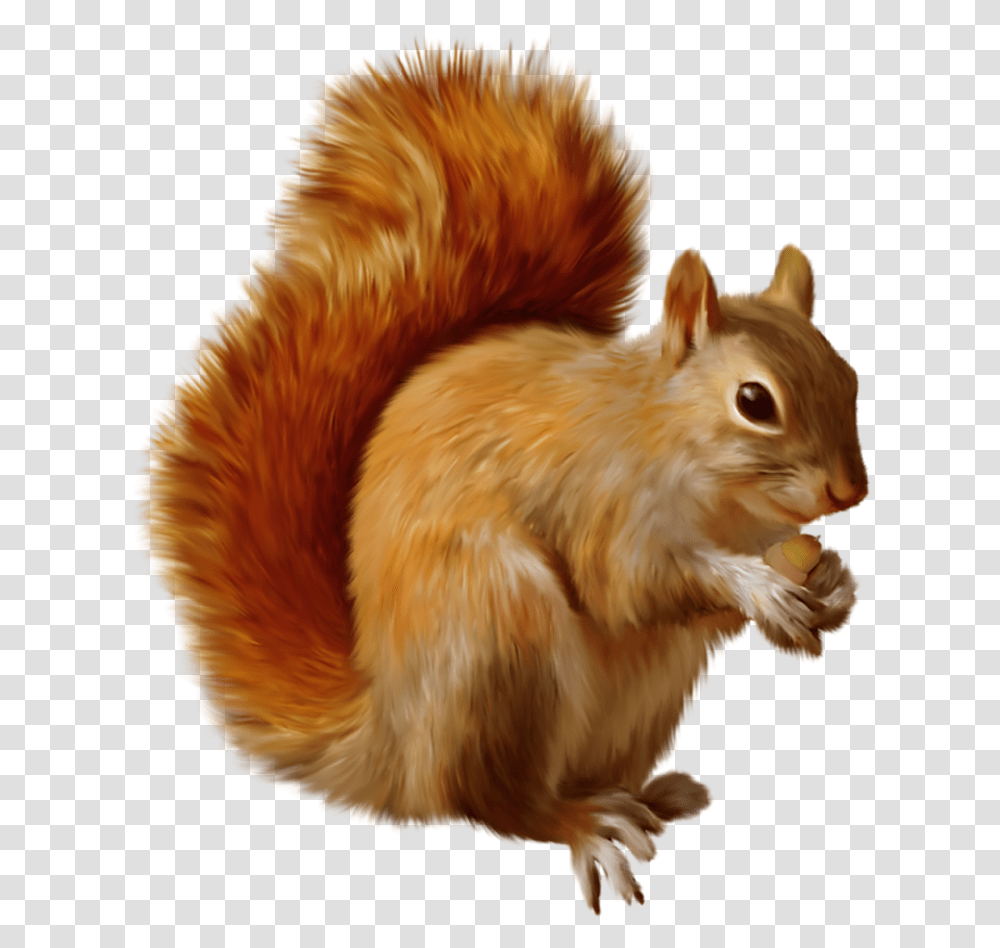 Squirrel Clipart Clipart Squirrels, Chicken, Poultry, Fowl, Bird Transparent Png