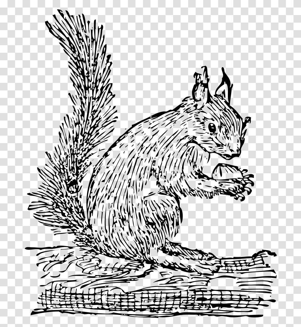 Squirrel Clipart, Gray, World Of Warcraft Transparent Png
