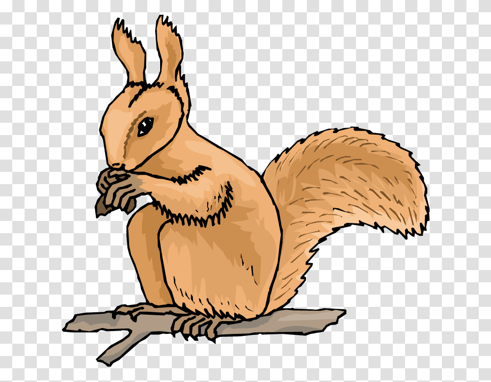 Squirrel Cliparts, Rodent, Mammal, Animal, Chicken Transparent Png