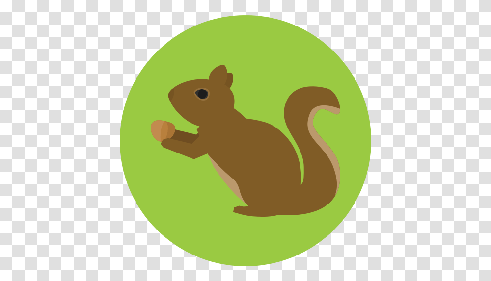 Squirrel Icon Squirrel Icon File, Rodent, Mammal, Animal, Bear Transparent Png