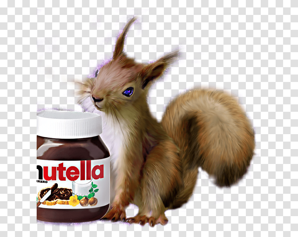 Squirrel Nutella Love Nutellalove, Plant, Cat, Pet, Mammal Transparent Png