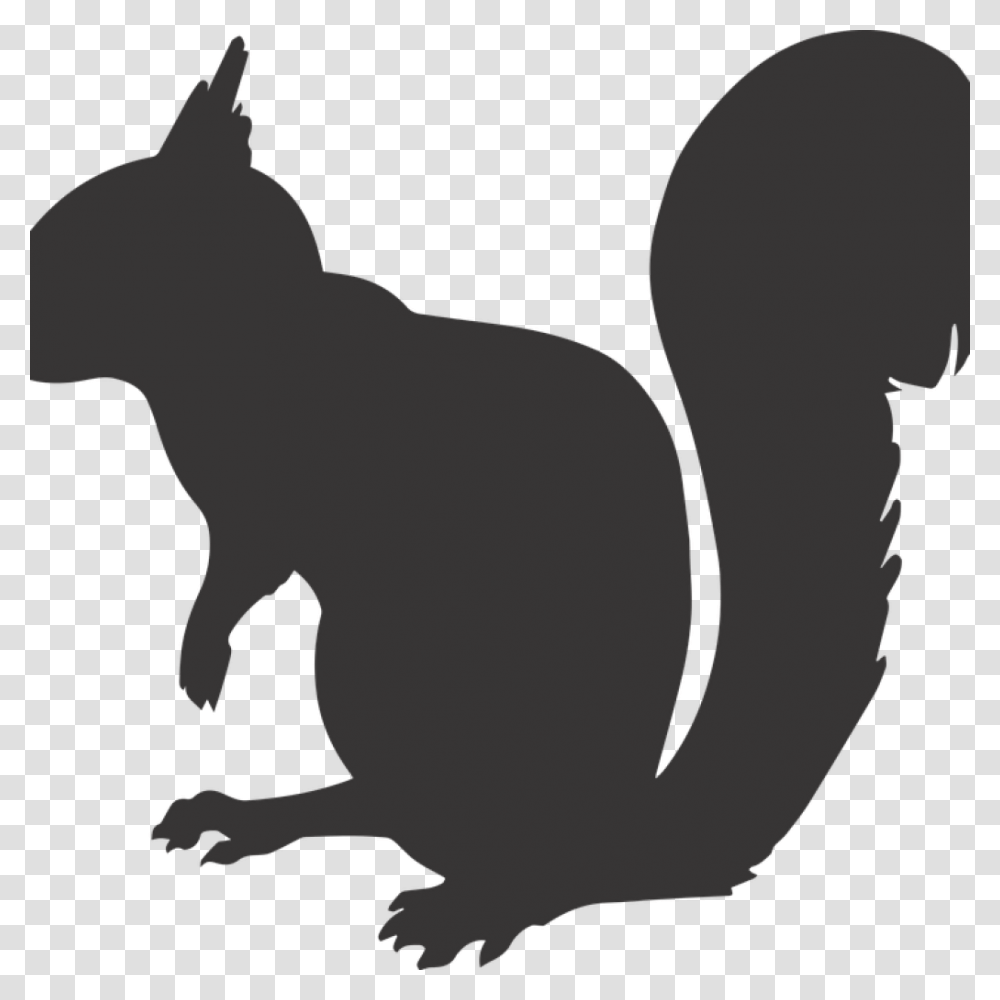 Squirrel Silhouette Animal Free Vector Graphic, Mammal, Bird, Dodo Transparent Png