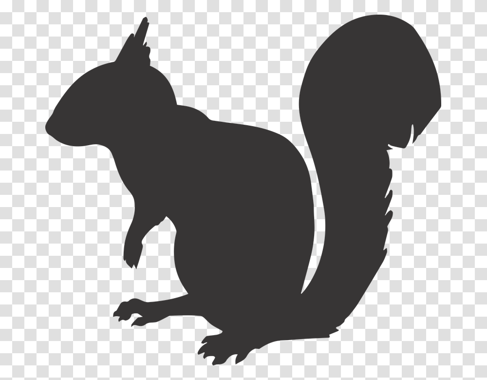 Squirrel Silhouette Animal Mammal Rodent Nature Squirrel Silhouette, Dinosaur, Reptile Transparent Png