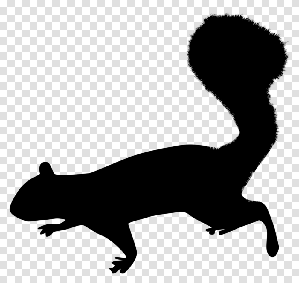 Squirrel Silhouette, Gray, World Of Warcraft Transparent Png