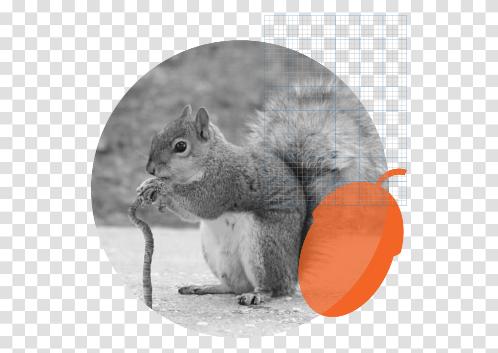 Squirrel With A Cane, Mammal, Animal, Rodent, Cat Transparent Png