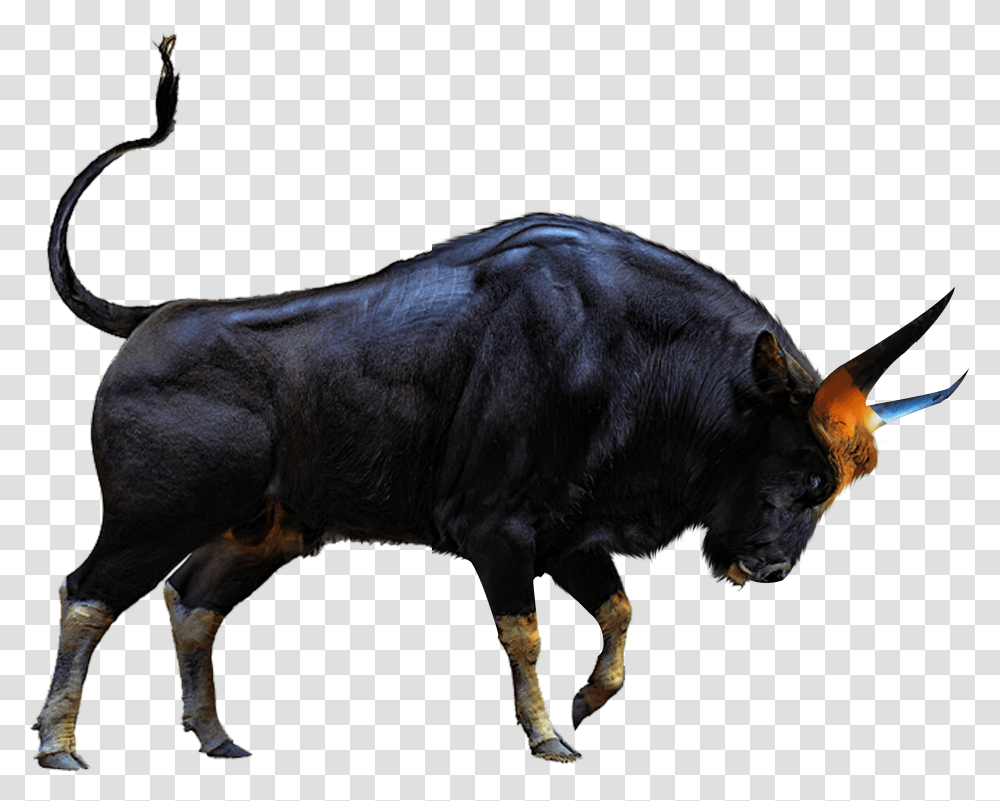 Sr Editing Zone, Bull, Mammal, Animal, Cow Transparent Png