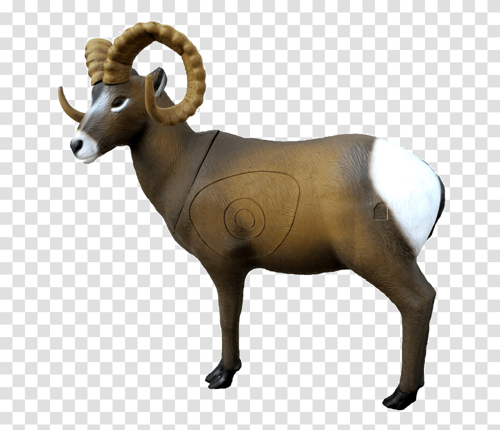 Srt Rocky Mountain Goat Bighorn Sheep, Mammal, Animal, Wildlife, Cow Transparent Png