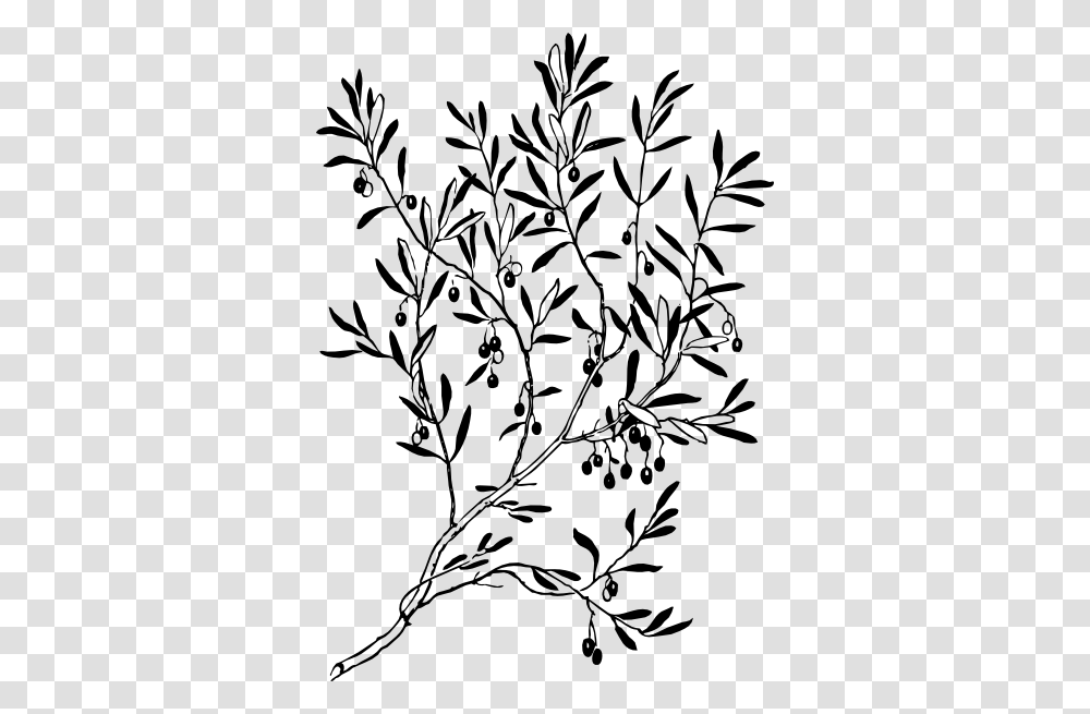 Ss Olive Olive Tree Art, Stencil, Pineapple, Fruit, Plant Transparent Png