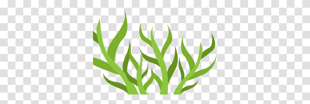 St Augustine Grass, Plant, Logo, Trademark Transparent Png