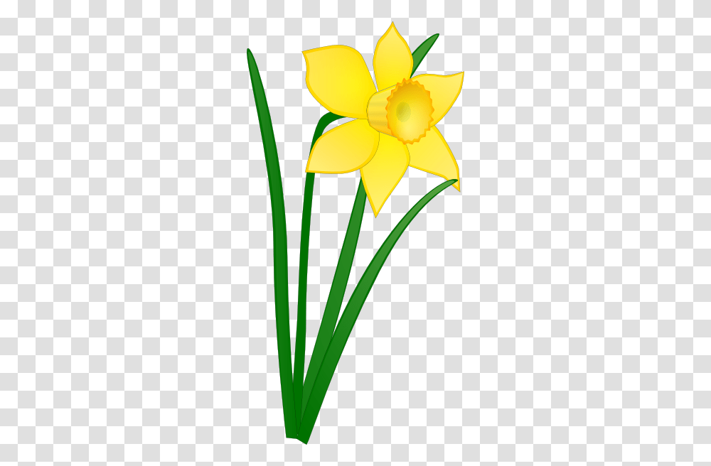 St Davids Day Free Vector Daffodil Clip Art Clip Art Flowers, Plant, Blossom Transparent Png