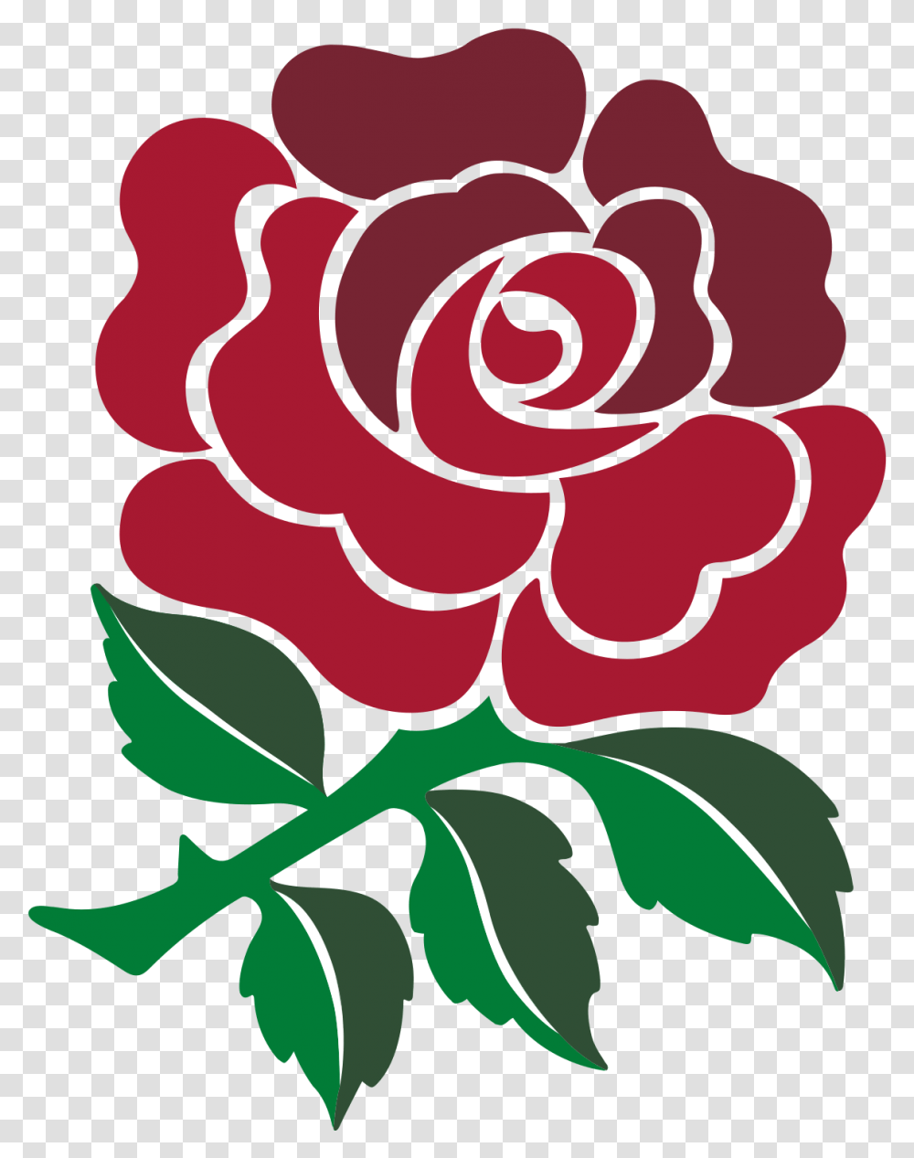 St Georges Day Rose Clipart Full Size Clipart 5334649 Klonia, Graphics, Plant, Floral Design, Pattern Transparent Png