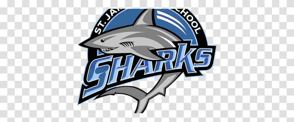St James Sharks St. James High School, Sea Life, Fish, Animal, Helmet Transparent Png