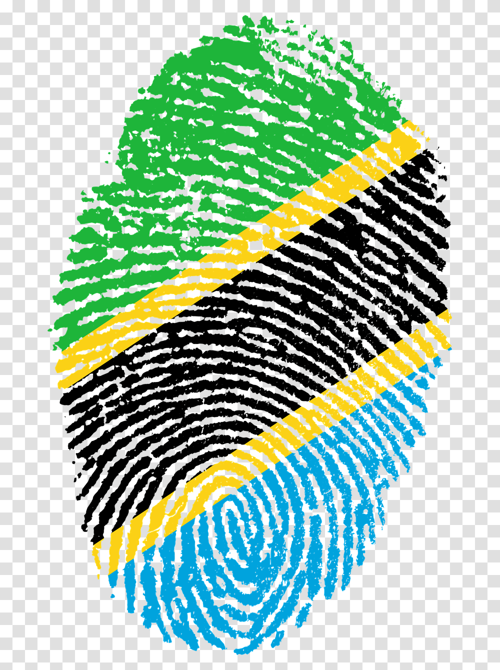 St Kitts Flag Fingerprint, Accessories Transparent Png