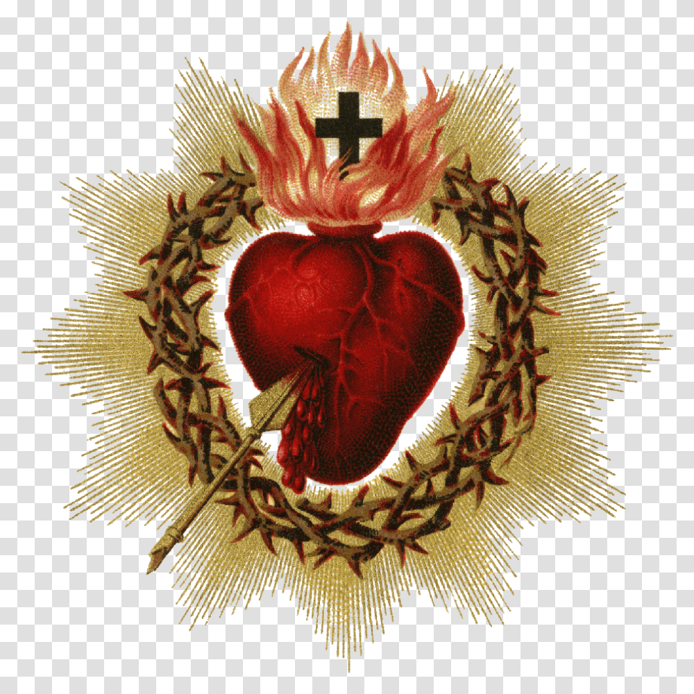 St Logo Catholic Sacred Heart Of Jesus, Produce, Food, Plant, Clothing Transparent Png