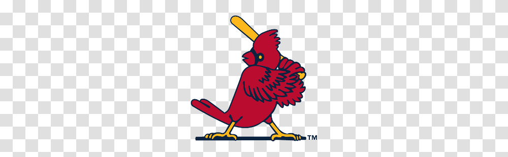 St Louis Cardinals Alternate Logo Sports Logo History, Animal, Bird, Finch Transparent Png